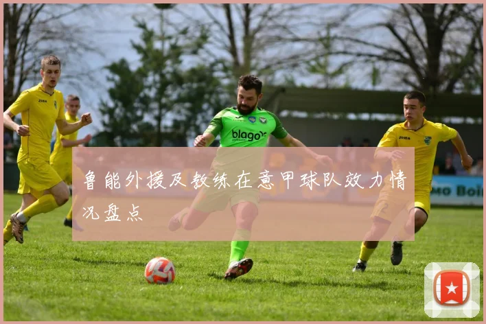 鲁能外援及教练在意甲球队效力情况盘点