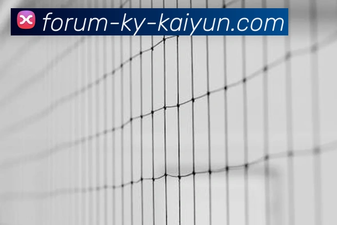 开云app发展历程