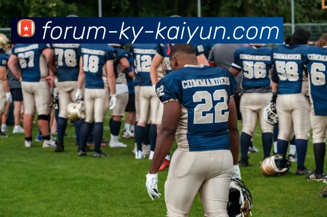 开云app服务体系