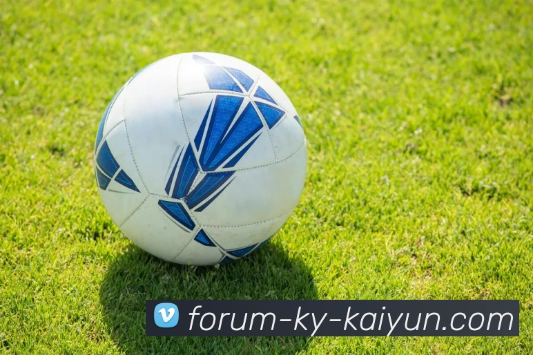 鲁能外援及教练在意甲球队效力情况盘点